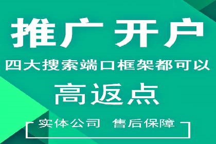 成功SEM托管代运营案例分析
